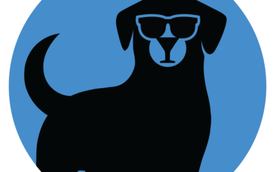 Martini Labs and MAX Coin: Stirring Up the Future of Crypto with Loyalty, Memes & Tokenization