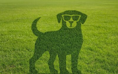 The Tokenization Tsunami: Why Every Business Will Be Tokenized by 2030